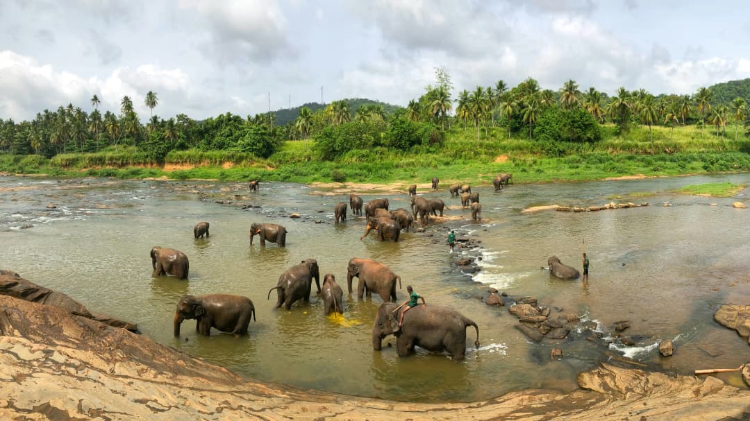 Elephant orphanage in Sri Lanka by Abdulla Faiz