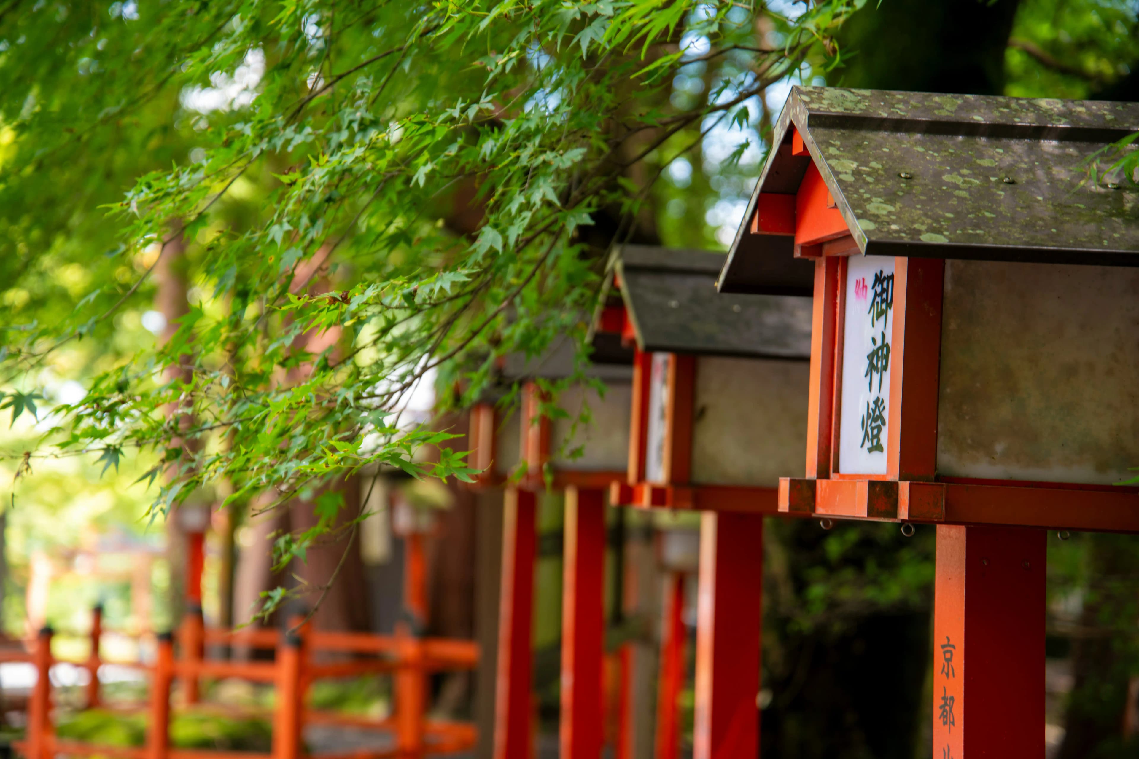 outside a shrine in Japan